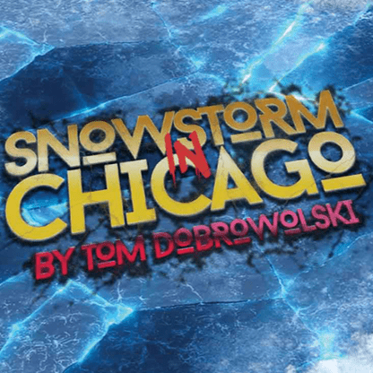 Bigblindmedia Presents Snowstorm In Chicago by Tom Dobrowolski - Brown Bear Magic Shop