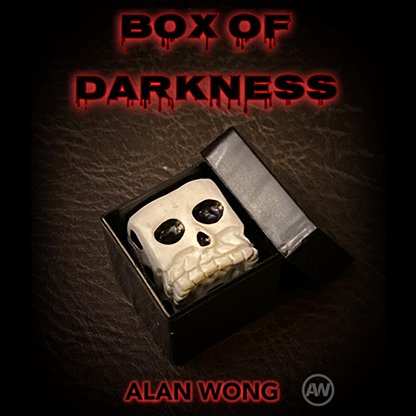 Box of Darkness by Alan Wong - Brown Bear Magic Shop