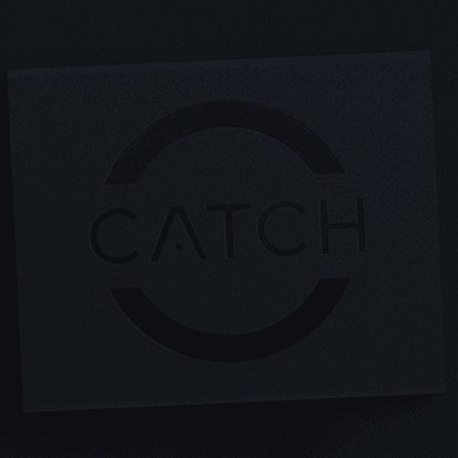 Catch by Vanishing Inc - Brown Bear Magic Shop